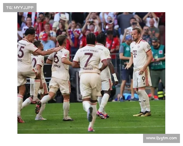 最新德甲赛事直播观看平台汇总畅享高清比赛体验